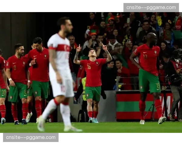 土耳其时隔24年重返世界杯 居莱尔伊尔迪兹领衔新生代